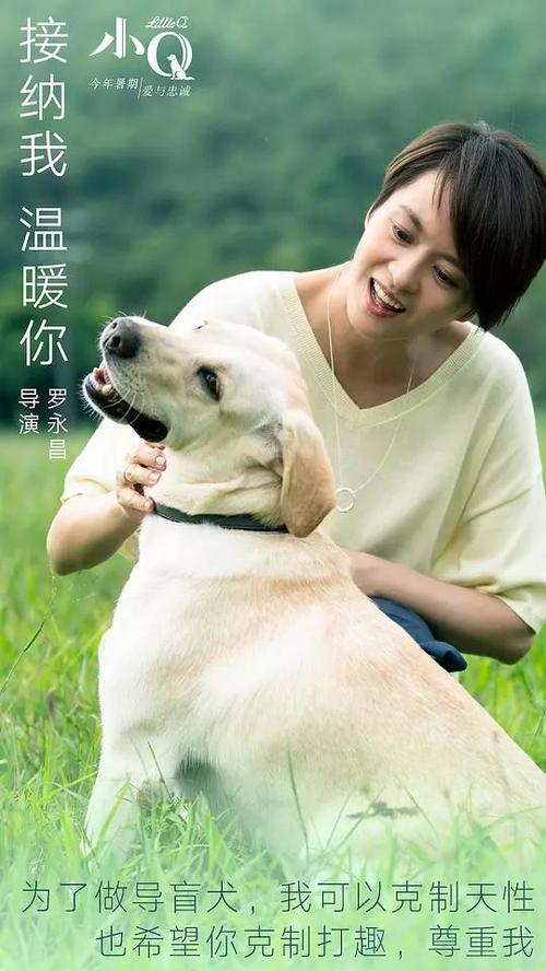 大学报到证哪里能买到